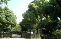 ���q�����G���A