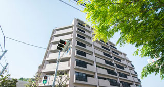 南に相楽園を望む45坪超の住戸