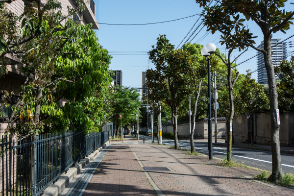 前面道路